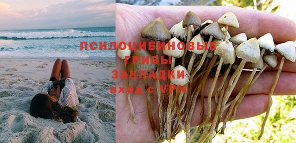кристаллы Дмитриев