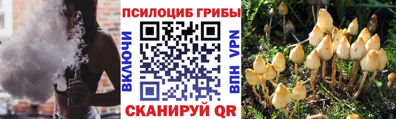 Псилоцибиновые грибы мицелий  Ангарск 